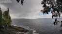 ./images/koeye/fitz-hugh/20250503/fitz-hugh20250503_123011M.jpg