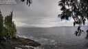 ./images/koeye/fitz-hugh/20250503/fitz-hugh20250503_123510M.jpg