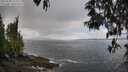 ./images/koeye/fitz-hugh/20250503/fitz-hugh20250503_124511M.jpg