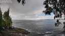 ./images/koeye/fitz-hugh/20250503/fitz-hugh20250503_125010M.jpg