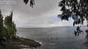 ./images/koeye/fitz-hugh/20250503/fitz-hugh20250503_125507M.jpg