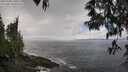 ./images/koeye/fitz-hugh/20250503/fitz-hugh20250503_130012M.jpg