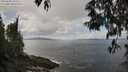 ./images/koeye/fitz-hugh/20250503/fitz-hugh20250503_131011M.jpg