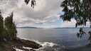 ./images/koeye/fitz-hugh/20250503/fitz-hugh20250503_132510M.jpg