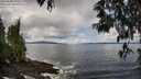 ./images/koeye/fitz-hugh/20250503/fitz-hugh20250503_133509M.jpg