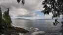 ./images/koeye/fitz-hugh/20250503/fitz-hugh20250503_134009M.jpg