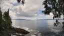 ./images/koeye/fitz-hugh/20250503/fitz-hugh20250503_135011M.jpg