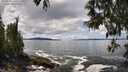 ./images/koeye/fitz-hugh/20250503/fitz-hugh20250503_140510M.jpg