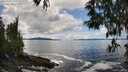 ./images/koeye/fitz-hugh/20250503/fitz-hugh20250503_141509M.jpg