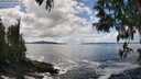 ./images/koeye/fitz-hugh/20250503/fitz-hugh20250503_142510M.jpg