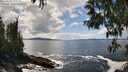 ./images/koeye/fitz-hugh/20250503/fitz-hugh20250503_143509M.jpg