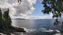 ./images/koeye/fitz-hugh/20250503/fitz-hugh20250503_144010M.jpg