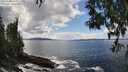 ./images/koeye/fitz-hugh/20250503/fitz-hugh20250503_144511M.jpg