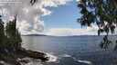 ./images/koeye/fitz-hugh/20250503/fitz-hugh20250503_150011M.jpg