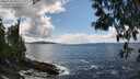 ./images/koeye/fitz-hugh/20250503/fitz-hugh20250503_150510M.jpg
