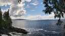 ./images/koeye/fitz-hugh/20250503/fitz-hugh20250503_151011M.jpg