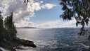 ./images/koeye/fitz-hugh/20250503/fitz-hugh20250503_152506M.jpg