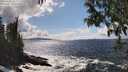 ./images/koeye/fitz-hugh/20250503/fitz-hugh20250503_153509M.jpg