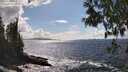 ./images/koeye/fitz-hugh/20250503/fitz-hugh20250503_154508M.jpg