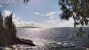 ./images/koeye/fitz-hugh/20250503/fitz-hugh20250503_155509M.jpg