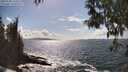 ./images/koeye/fitz-hugh/20250503/fitz-hugh20250503_160011M.jpg