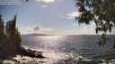./images/koeye/fitz-hugh/20250503/fitz-hugh20250503_161511M.jpg