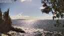 ./images/koeye/fitz-hugh/20250503/fitz-hugh20250503_162010M.jpg
