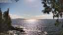 ./images/koeye/fitz-hugh/20250503/fitz-hugh20250503_164009M.jpg