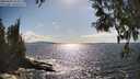 ./images/koeye/fitz-hugh/20250503/fitz-hugh20250503_164510M.jpg
