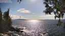 ./images/koeye/fitz-hugh/20250503/fitz-hugh20250503_165011M.jpg