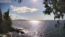 ./images/koeye/fitz-hugh/20250503/fitz-hugh20250503_170011M.jpg