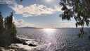 ./images/koeye/fitz-hugh/20250503/fitz-hugh20250503_170510M.jpg