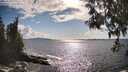 ./images/koeye/fitz-hugh/20250503/fitz-hugh20250503_171510M.jpg