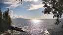 ./images/koeye/fitz-hugh/20250503/fitz-hugh20250503_172010M.jpg