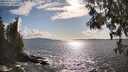 ./images/koeye/fitz-hugh/20250503/fitz-hugh20250503_172509M.jpg