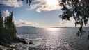 ./images/koeye/fitz-hugh/20250503/fitz-hugh20250503_173011M.jpg
