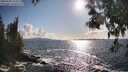 ./images/koeye/fitz-hugh/20250503/fitz-hugh20250503_174511M.jpg