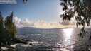 ./images/koeye/fitz-hugh/20250503/fitz-hugh20250503_184510M.jpg