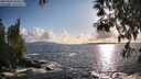 ./images/koeye/fitz-hugh/20250503/fitz-hugh20250503_185010M.jpg
