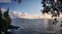 ./images/koeye/fitz-hugh/20250503/fitz-hugh20250503_192509M.jpg