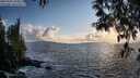 ./images/koeye/fitz-hugh/20250503/fitz-hugh20250503_193009M.jpg