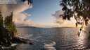 ./images/koeye/fitz-hugh/20250503/fitz-hugh20250503_201008M.jpg
