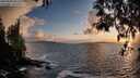 ./images/koeye/fitz-hugh/20250503/fitz-hugh20250503_201508M.jpg