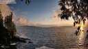 ./images/koeye/fitz-hugh/20250503/fitz-hugh20250503_202008M.jpg