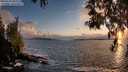 ./images/koeye/fitz-hugh/20250503/fitz-hugh20250503_202508M.jpg