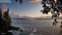 ./images/koeye/fitz-hugh/20250503/fitz-hugh20250503_203509M.jpg