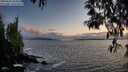 ./images/koeye/fitz-hugh/20250503/fitz-hugh20250503_204008M.jpg