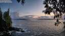./images/koeye/fitz-hugh/20250503/fitz-hugh20250503_205507M.jpg