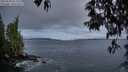 ./images/koeye/fitz-hugh/20250504/fitz-hugh20250504_053508M.jpg