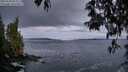 ./images/koeye/fitz-hugh/20250504/fitz-hugh20250504_054506M.jpg